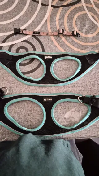 Collar y arnés para perros gotoo