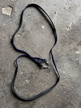 Equipo Endurance Biothane Azul