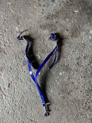 Equipo Endurance Biothane Azul