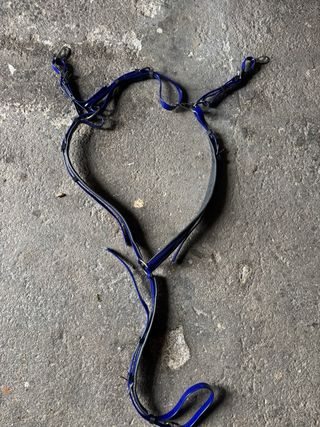 Equipo Endurance Biothane Azul