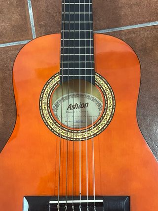 Guitarra Ashton con Funda