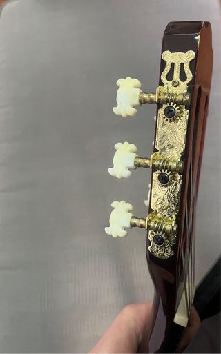 Guitarra Ashton con Funda