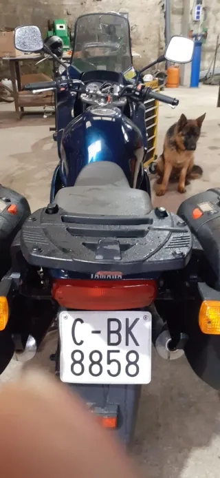 Yamaha XJ600 S Carburación 1995