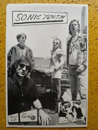 Mudhoney / Sonic Youth (Vinilo+CD+Postales)