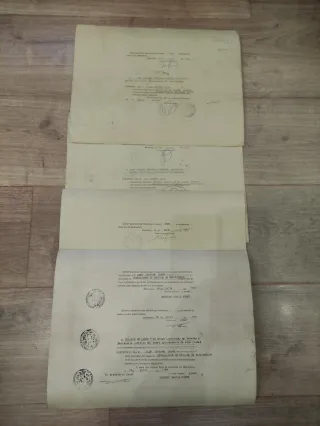 Títulos Ayuntamiento Barcelona