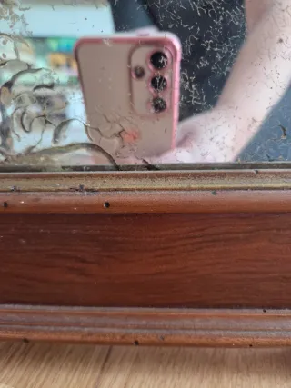 Espejo Vintage Caoba Adornos Tallados