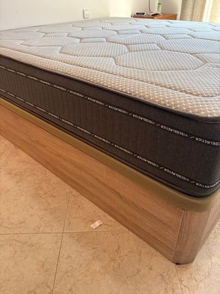 CANAPE CANAPE CANAPE CANAPE CANAPE CANAPE CANAPE