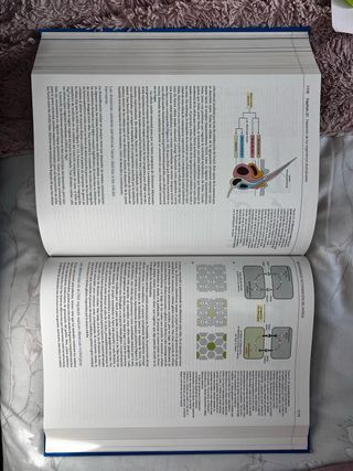 BIOLOGÍA MOLECULAR DE LA CÉLULA (CIENCIAS BIOLÓ...