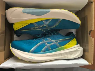Asics Gel-Kayano 30 Talla 43.5 (como nuevas)