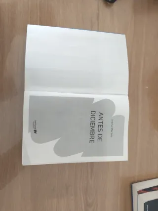 Antes de diciembre (edición revisada por la aut...