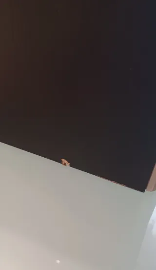 Altavoces B&W DM601 S3