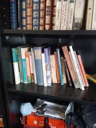 Colección de libros. 32 libros