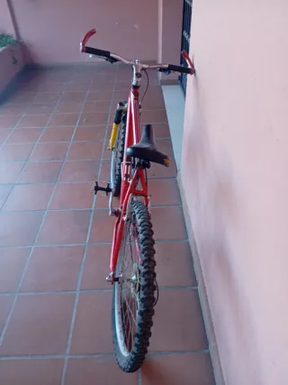 Bicicleta Scorpion Reliquia