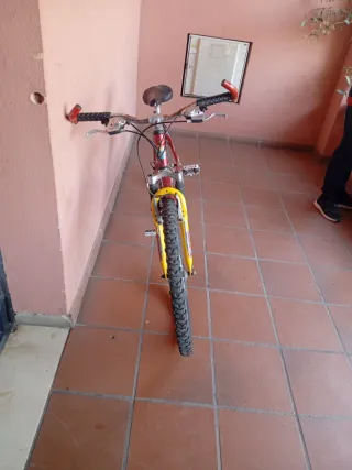 Bicicleta Scorpion Reliquia