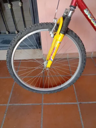 Bicicleta Scorpion Reliquia