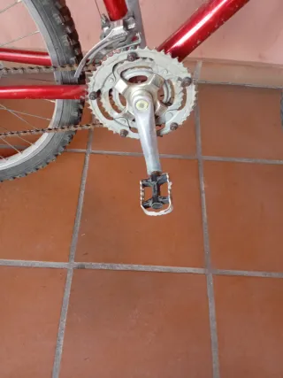 Bicicleta Scorpion Reliquia