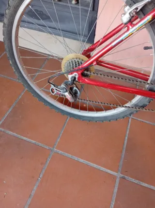 Bicicleta Scorpion Reliquia