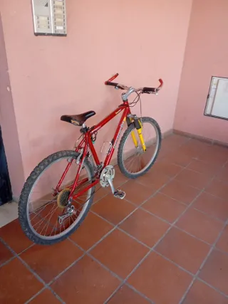 Bicicleta Scorpion Reliquia