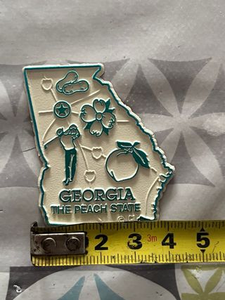 Imán de nevera Georgia The Peach State