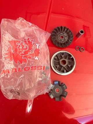 Variador Malossi Multivar