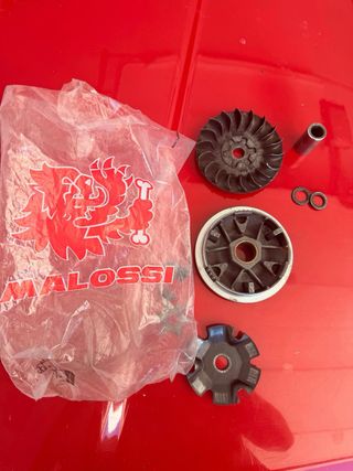 Variador Malossi Multivar