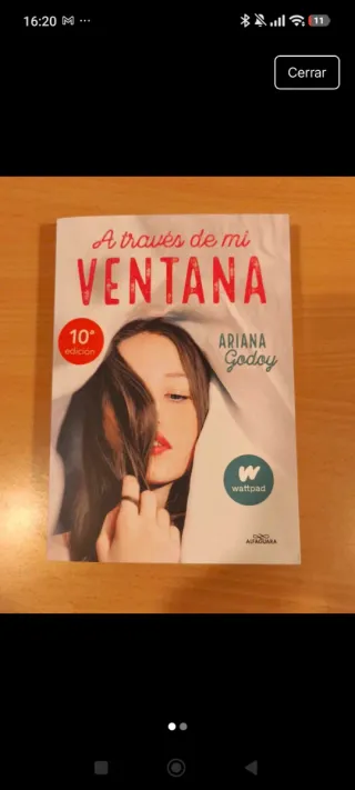 Libro A través de mi ventana de Ariana Godoy