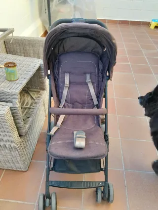 Carro de paseo plegable