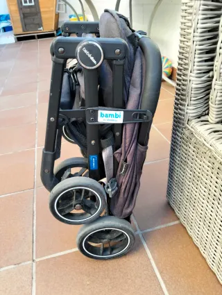 Carro de paseo plegable