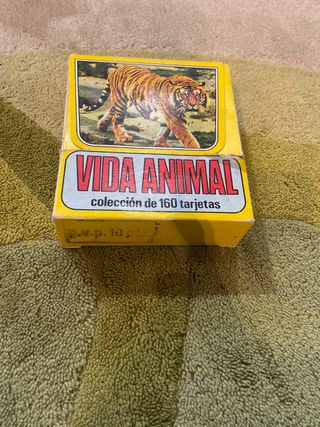 Colección 160 Fichas Vida Animal
