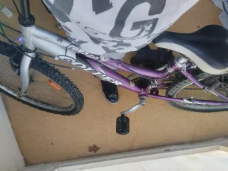 Bicicleta Coluer Puma 24