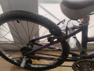 Bicicleta Coluer Puma 24