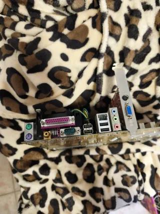 Placa Base Asus P4S800