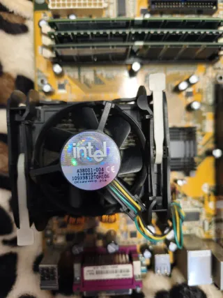 Placa Base Asus P4S800