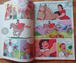 Marco de Los Apeninos a los Andes