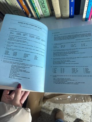 Teoría y práctica de la Lengua 8ºEGB