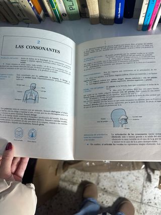 Teoría y práctica de la Lengua 8ºEGB