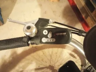 Bicicleta Eléctrica Greencity con Portaniños