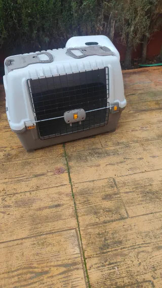 Transportín animales