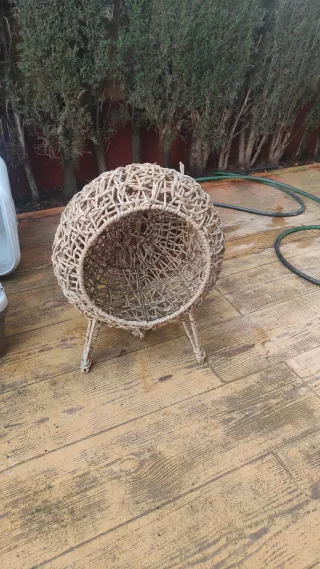 Transportín animales