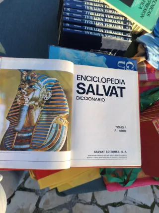 Enciclopedia Salvat diccionario