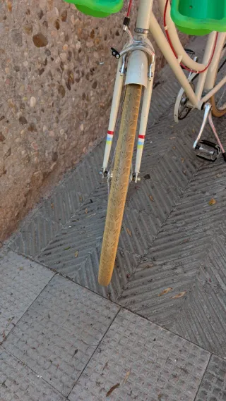 Bicicleta Paseo Mujer + Asiento Bebé de regalo