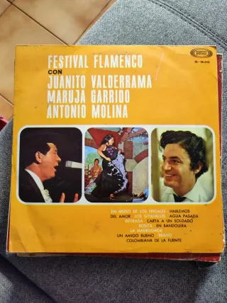 5 vinilos variados. En pack o indivuduales.
