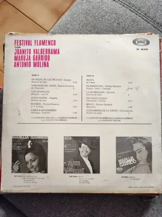 5 vinilos variados. En pack o indivuduales.