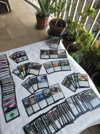 Siona, Capitana de las Pyleas - Magic The Gatherin