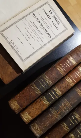 La Biblia Vulgata Latina