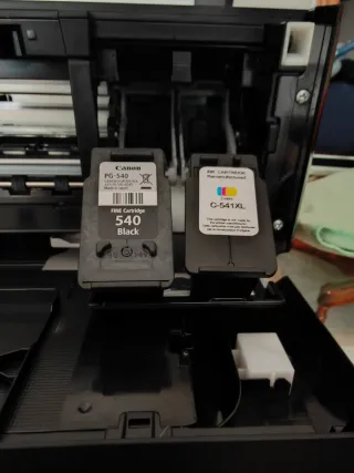 Stampante con Cartucce d'Inchiostro Canon MG3650