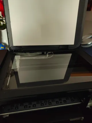 Stampante con Cartucce d'Inchiostro Canon MG3650