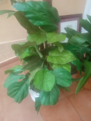 Planta artificial decorativa