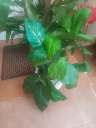 Planta artificial decorativa