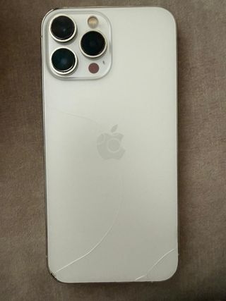 iPhone 13 Pro Max Argento/Bianco